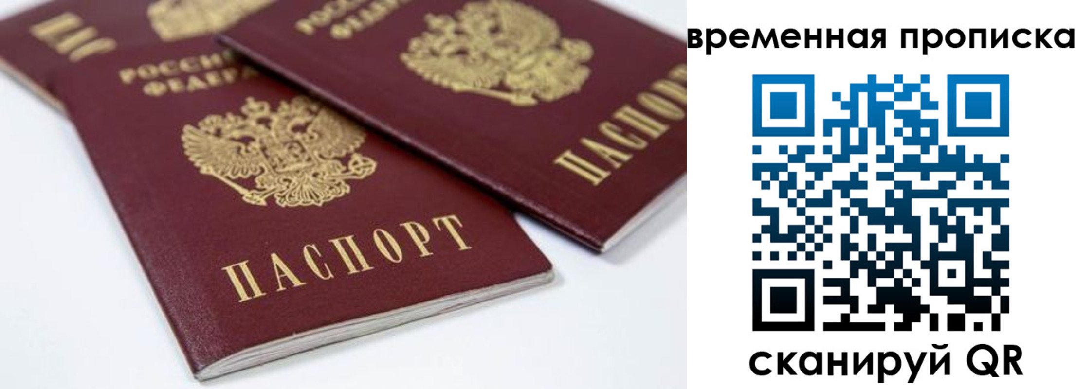 прописка для школы в Добрянке